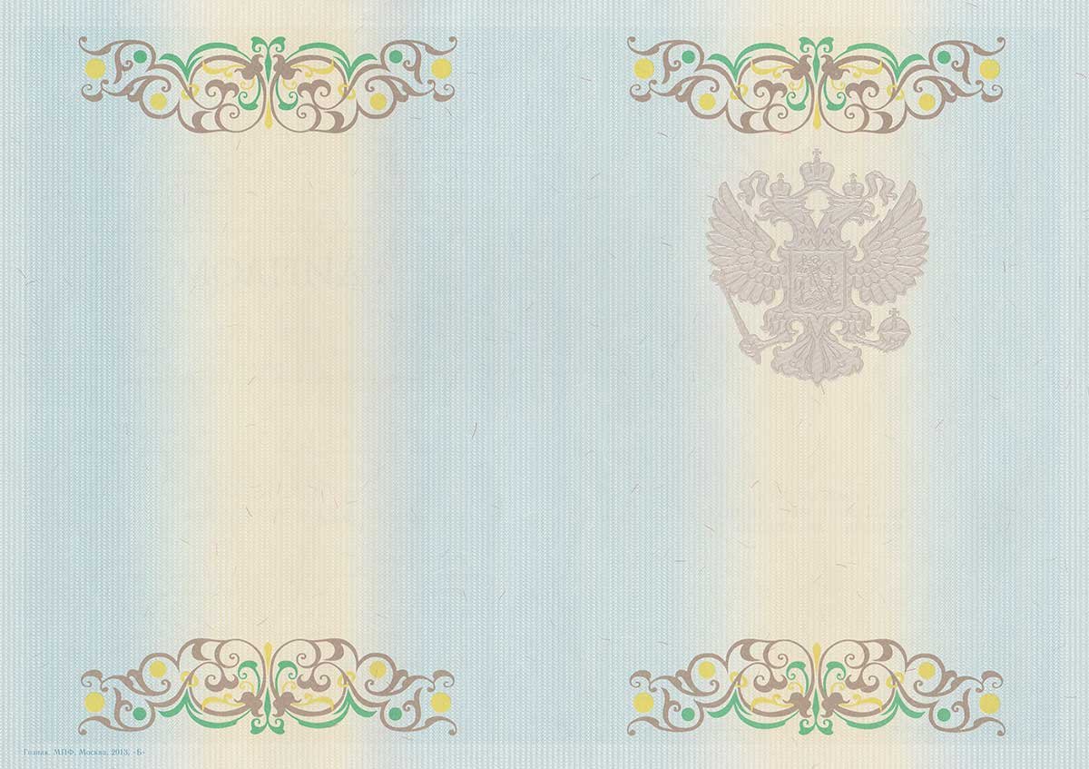 Диплом специалиста 2011-2013 год Диплом специалиста 2011-2013 год