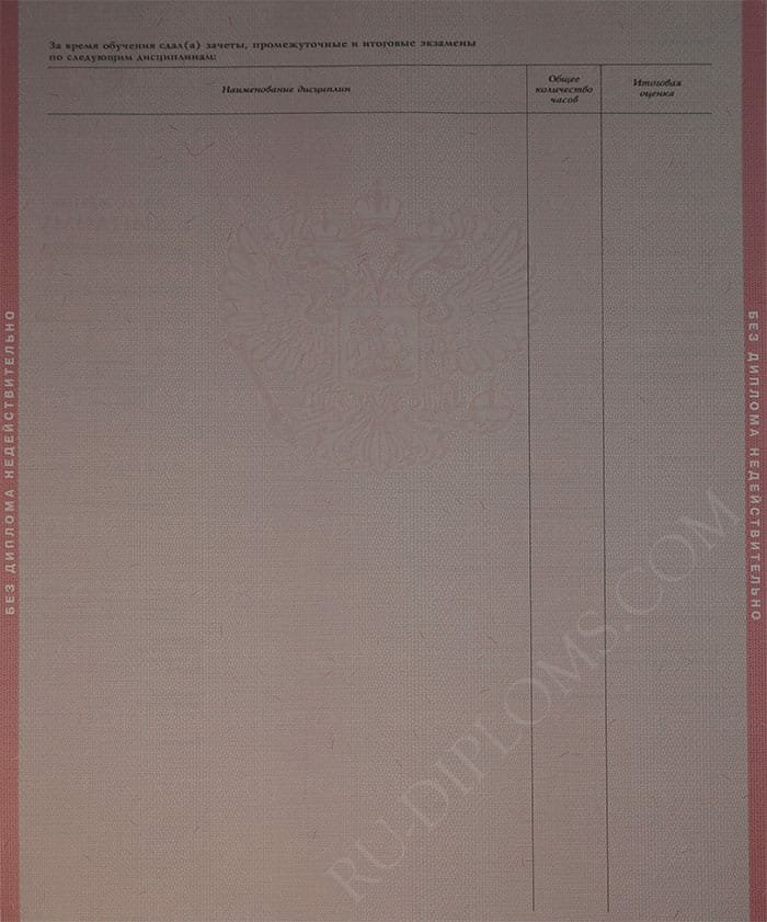 Диплом техникума или колледжа 2004-2006 год Диплом техникума или колледжа 2004-2006 год