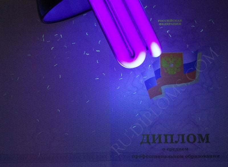 Диплом техникума или колледжа 2011-2013 год Диплом техникума или колледжа 2011-2013 год