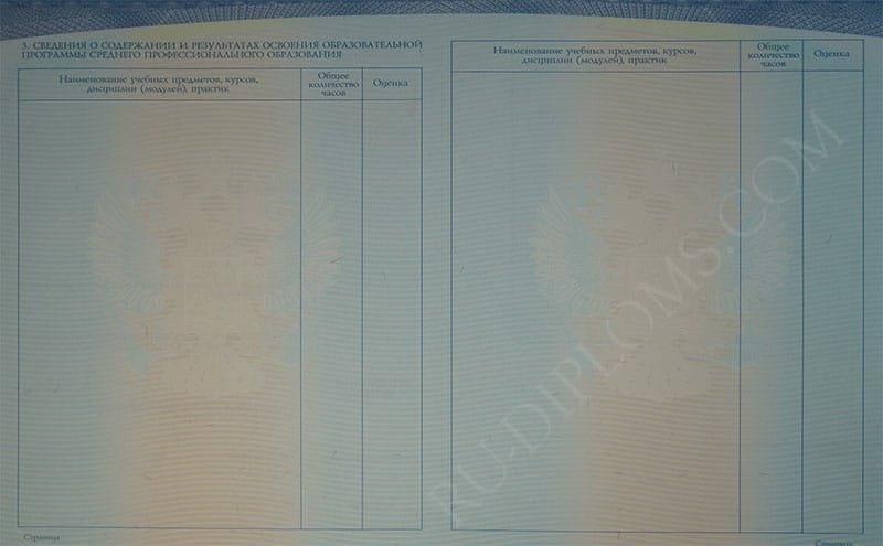 Диплом техникума или колледжа 2014-2025 НОВОГО ОБРАЗЦА Диплом техникума или колледжа 2014-2025 НОВОГО ОБРАЗЦА