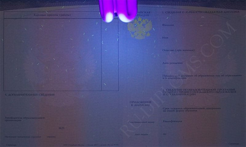 Диплом техникума или колледжа 2014-2025 НОВОГО ОБРАЗЦА Диплом техникума или колледжа 2014-2025 НОВОГО ОБРАЗЦА