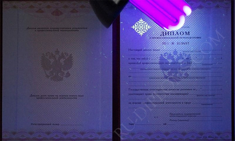 Диплом о переподготовке 2010 года Диплом о переподготовке 2010 года
