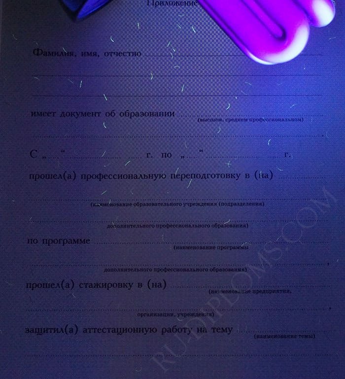 Диплом о переподготовке 2010 года Диплом о переподготовке 2010 года