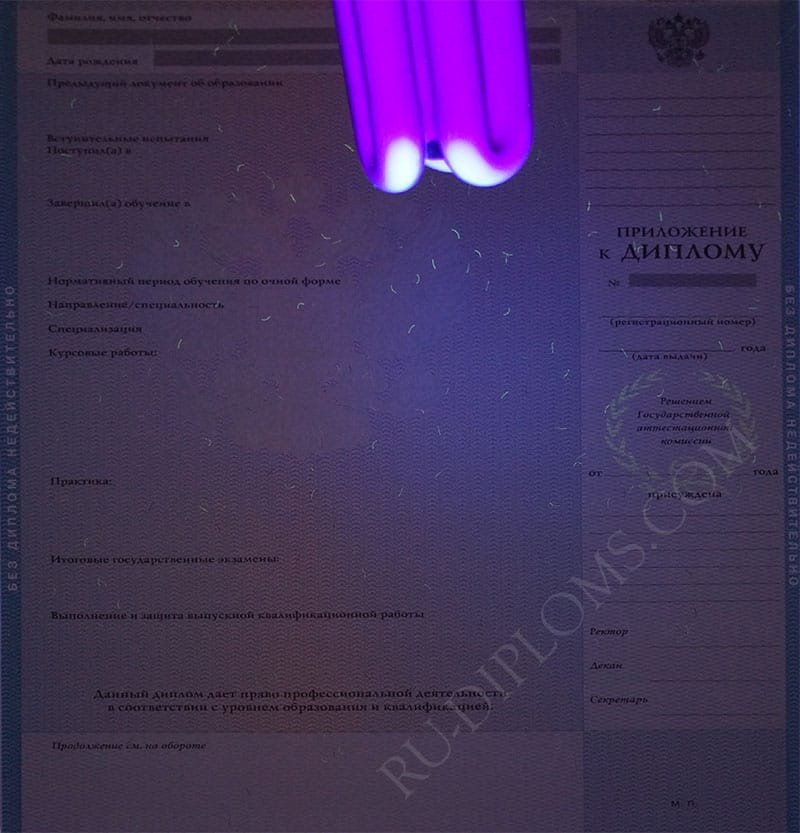 Диплом магистра 2004-2009 год Диплом магистра 2004-2009 год