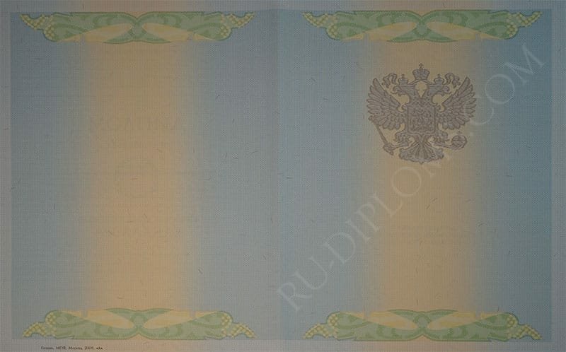 Диплом бакалавра 2004-2009 год Диплом бакалавра 2004-2009 год