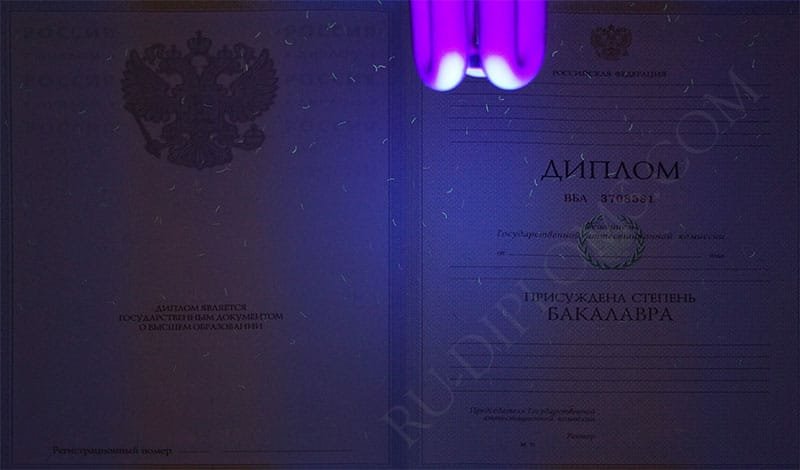 Диплом бакалавра 2004-2009 год Диплом бакалавра 2004-2009 год