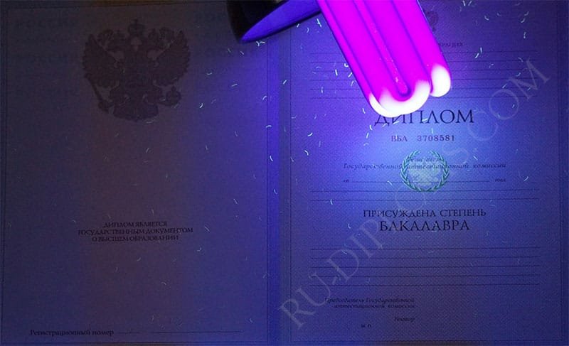 Диплом бакалавра 2004-2009 год Диплом бакалавра 2004-2009 год