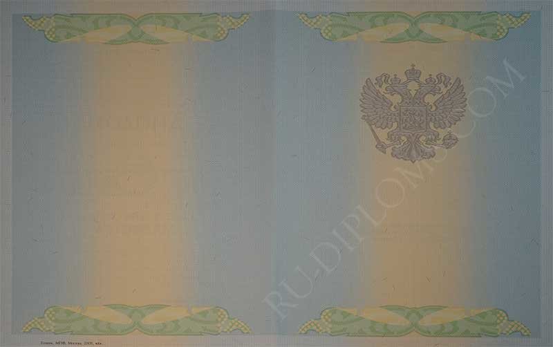 Диплом магистра 2004-2009 год Диплом магистра 2004-2009 год