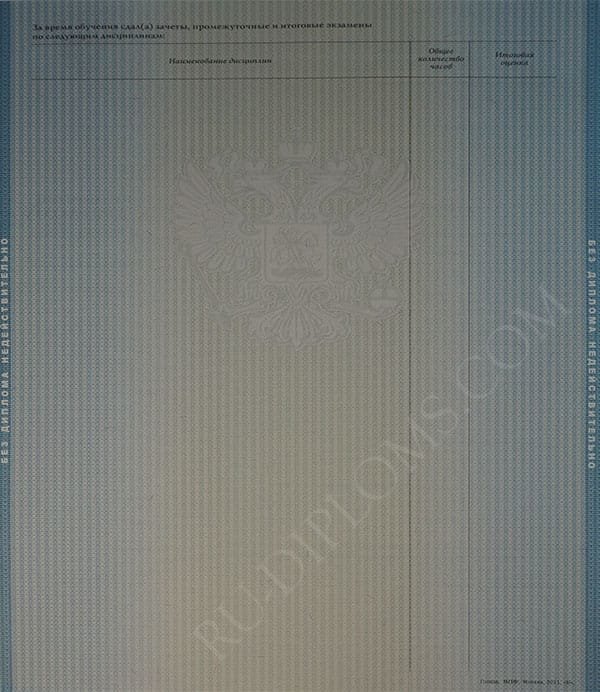Диплом магистра 2010-2013 год Диплом магистра 2010-2013 год