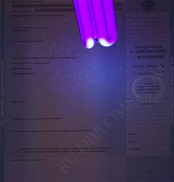 Диплом бакалавра 2010-2013 год Диплом бакалавра 2010-2013 год