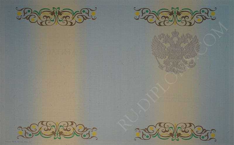 Диплом бакалавра 2010-2013 год Диплом бакалавра 2010-2013 год