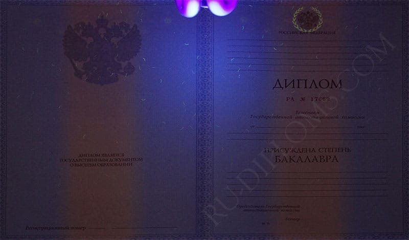 Диплом бакалавра 2010-2013 год Диплом бакалавра 2010-2013 год