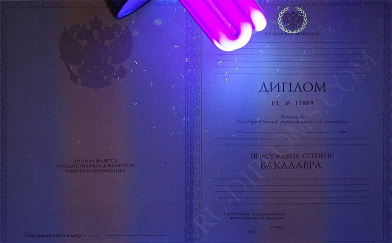 Диплом бакалавра 2010-2013 год Диплом бакалавра 2010-2013 год