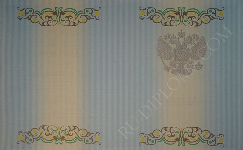 Диплом магистра 2010-2013 год Диплом магистра 2010-2013 год