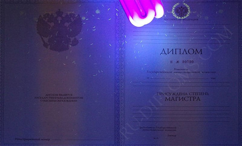 Диплом магистра 2010-2013 год Диплом магистра 2010-2013 год